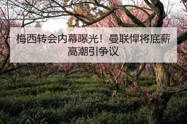 梅西转会内幕曝光！曼联悍将底薪高潮引争议