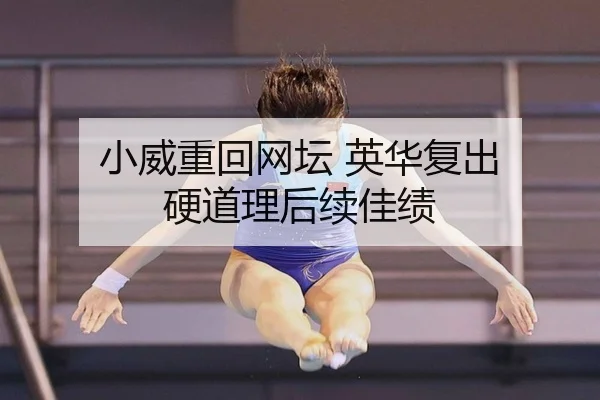 小威重回网坛 英华复出 硬道理后续佳绩